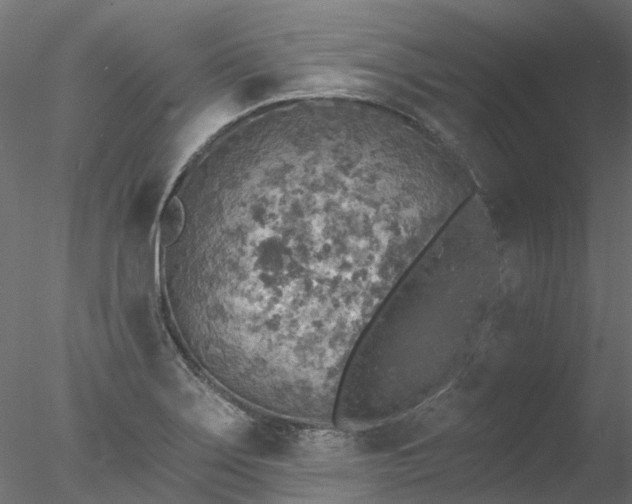 X0000078011275200611031421