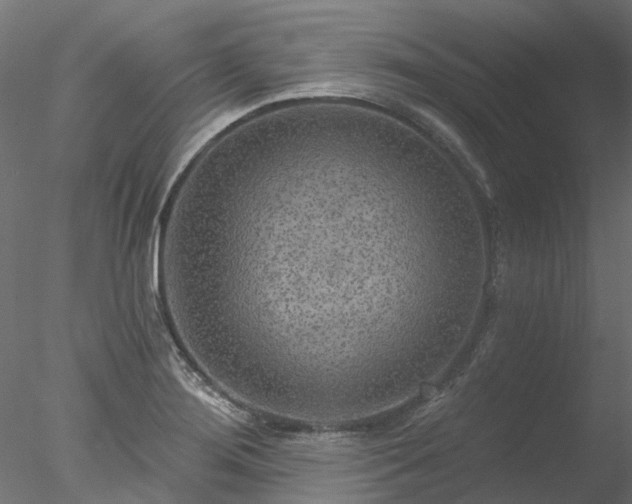 X0000078011276200611031421