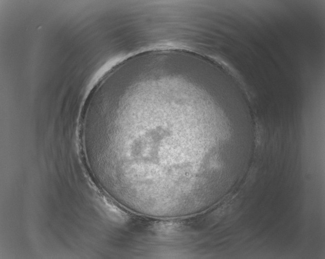 X0000078011278200611031421