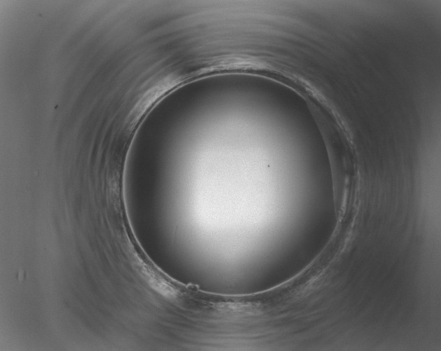 X0000078011281200611031421