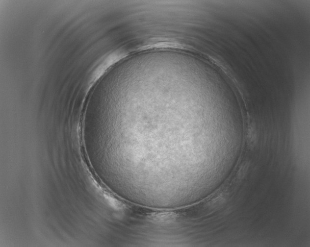 X0000078011282200611031421