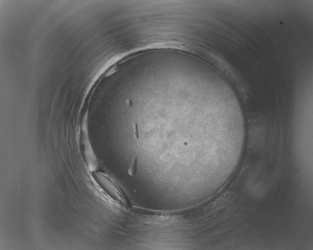 X0000078011284200611031421