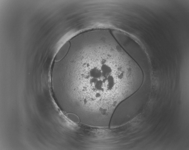 X0000078011287200611031420