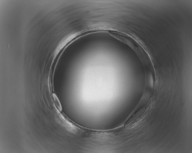 X0000078011293200611031420