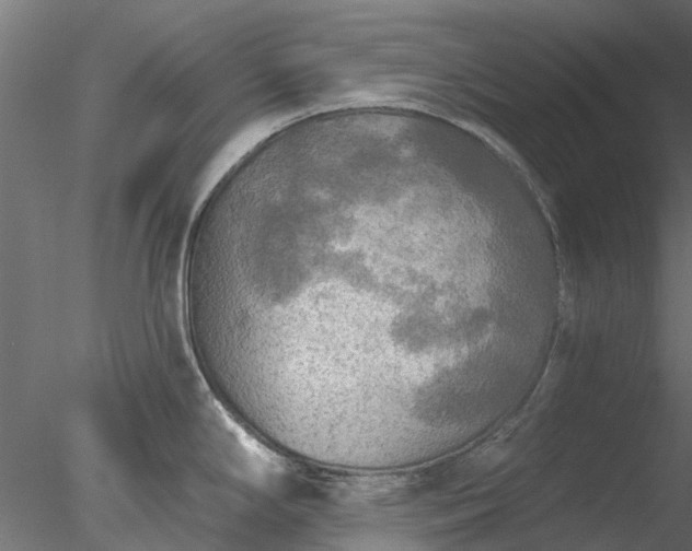 X0000078011294200611031420