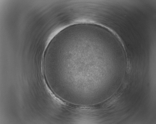 X0000078011295200611031420