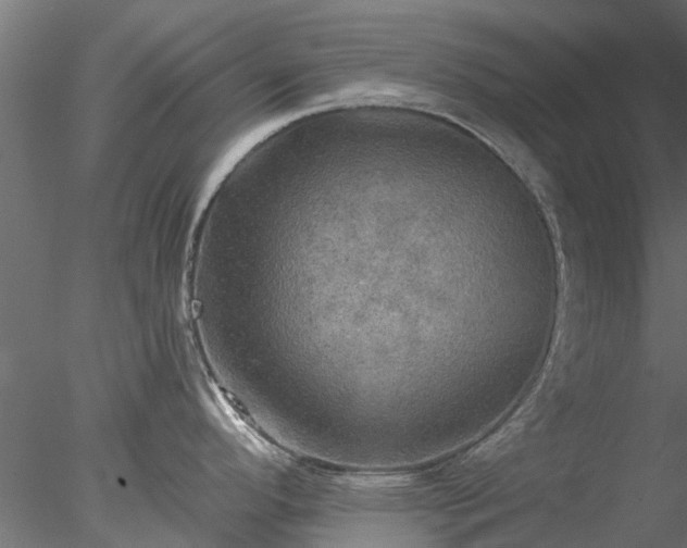 X0000078011296200611031420