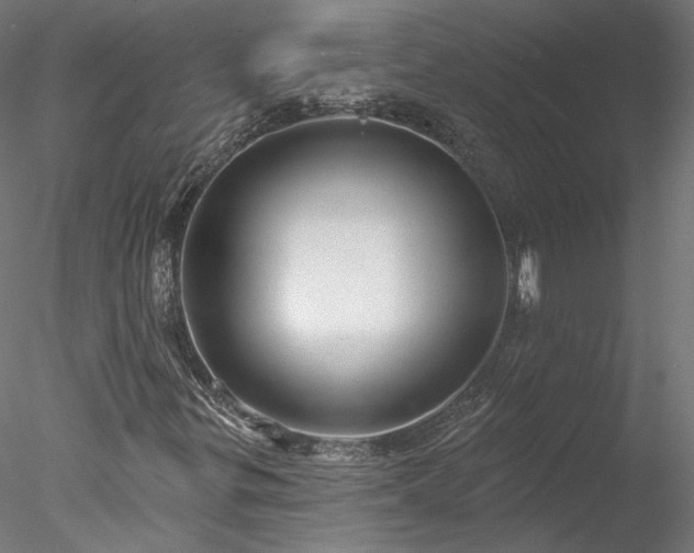 X0000078011299200611031420