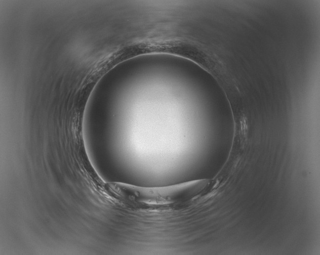 X0000078011300200611031420