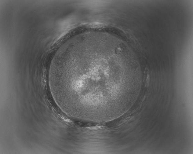 X0000078011301200611031420