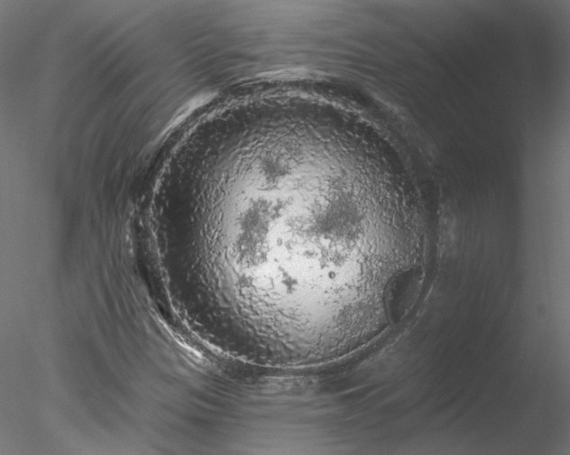 X0000078011305200611031420