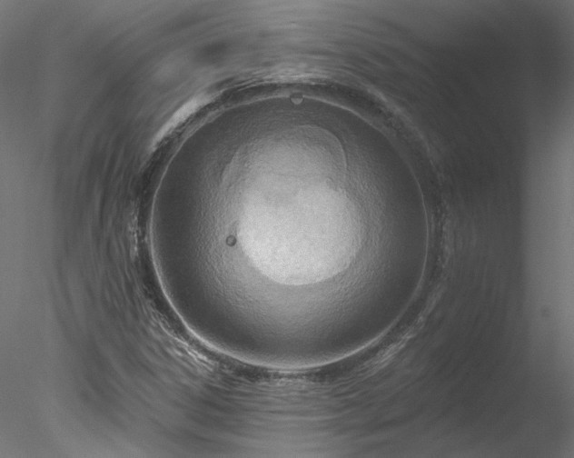 X0000078011306200611031420