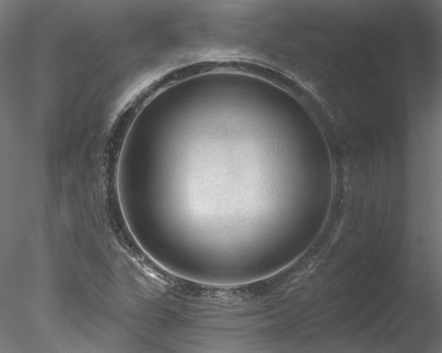 X0000078011311200611031420