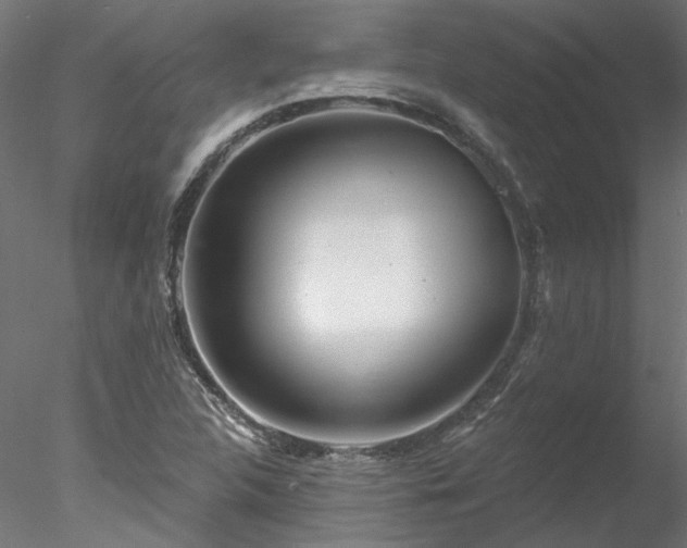 X0000078011312200611031420