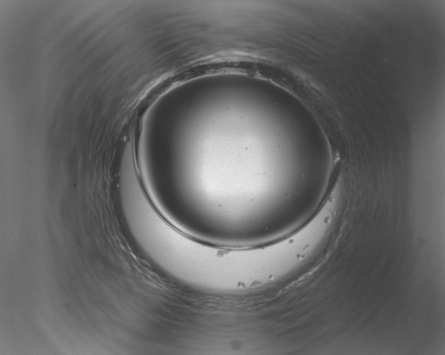 X0000078011313200611031420