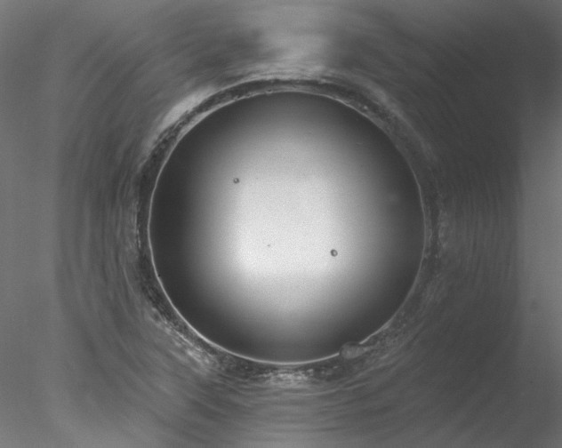 X0000078011315200611031420