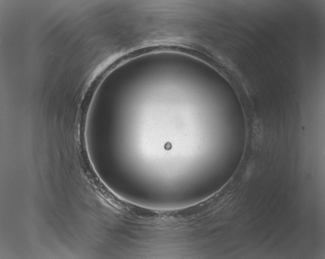 X0000078011316200611031420