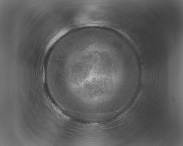 X0000078011317200611031420