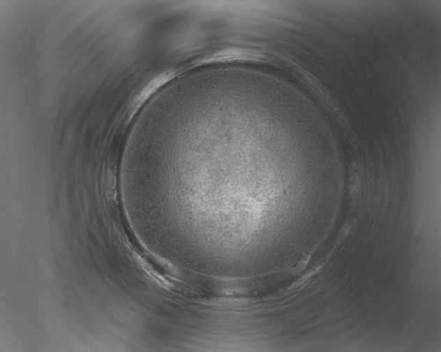 X0000078011321200611031420