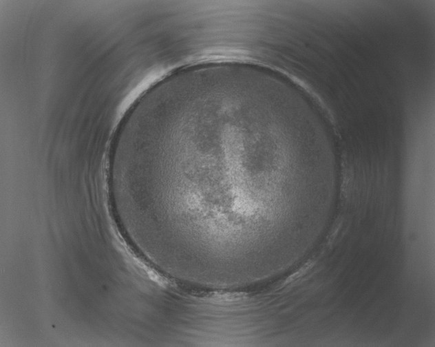 X0000078011325200611031420