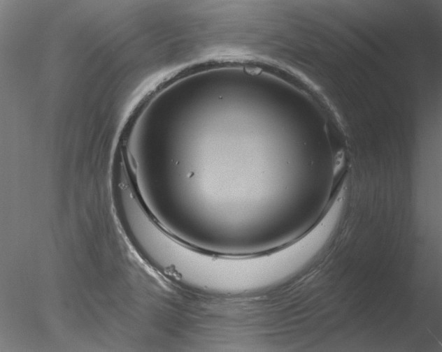 X0000078011327200611031420