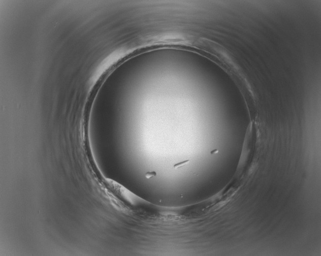 X0000078011328200611031420