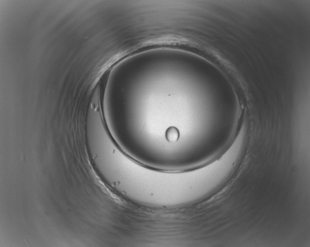 X0000078011329200611031420