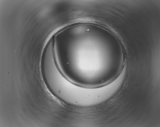 X0000078011331200611031420