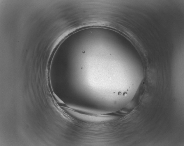 X0000078011332200611031420