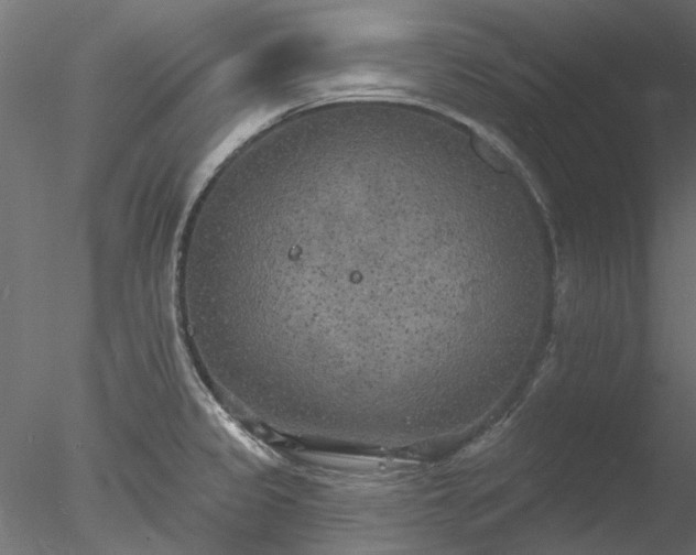 X0000078011333200611031420