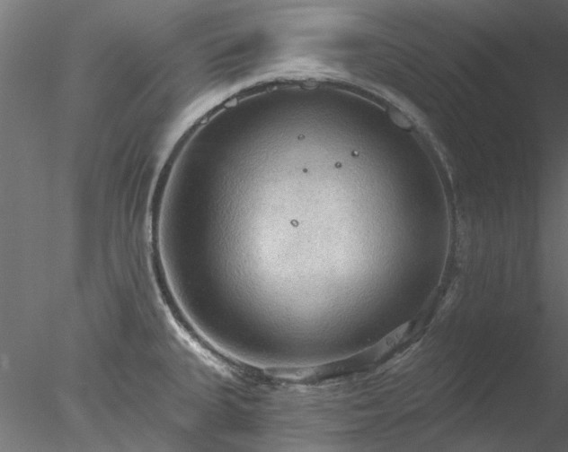 X0000078011335200611031420