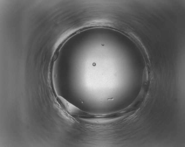 X0000078011336200611031420