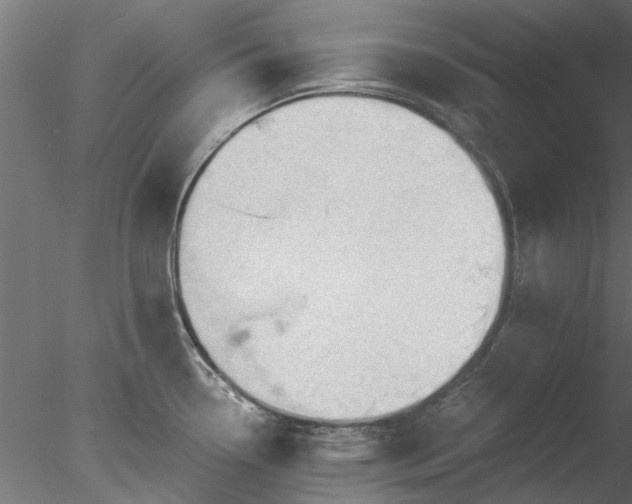 X0000078011338200611031420