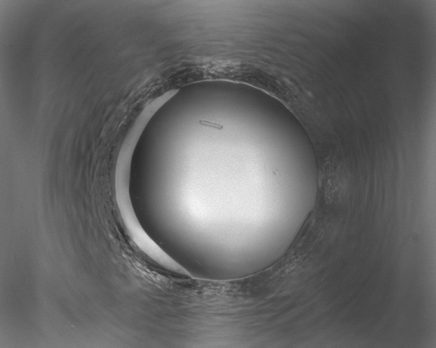 X0000078011345200611031419