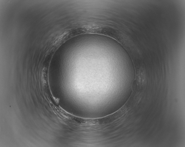 X0000078011346200611031419