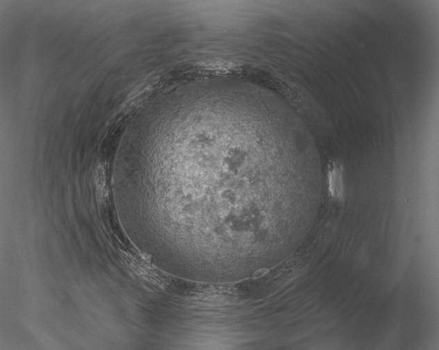 X0000078011347200611031419