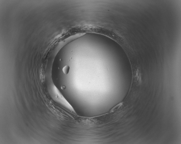 X0000078011348200611031419