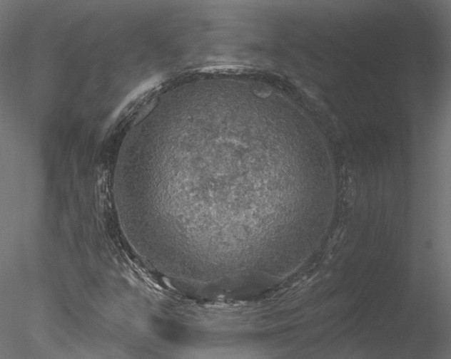 X0000078011351200611031419