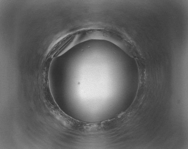 X0000078011352200611031419