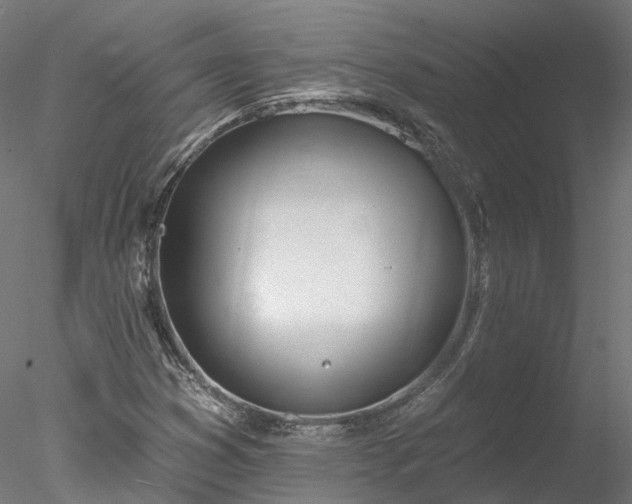 X0000078011353200611031419