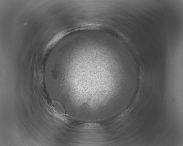 X0000078011354200611031419