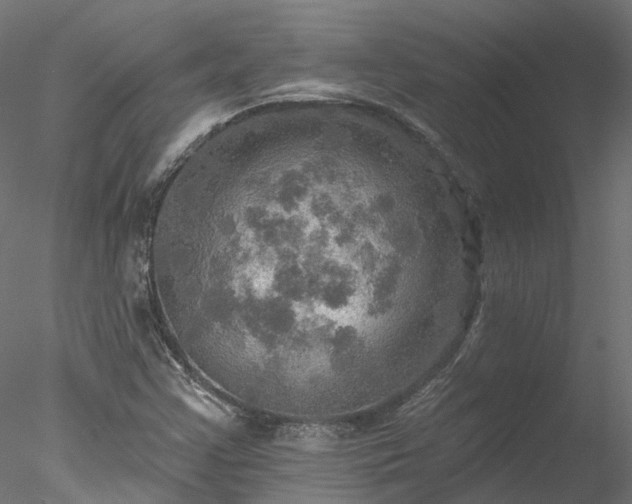 X0000078011355200611031419