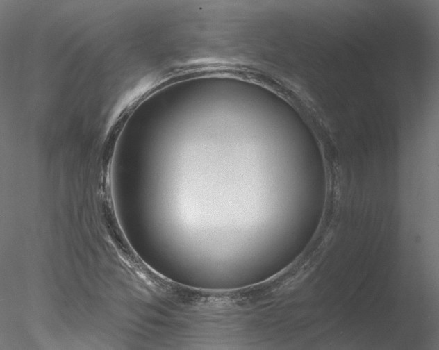 X0000078011357200611031419