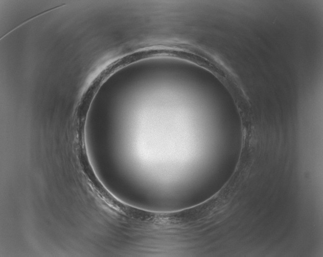 X0000078011360200611031419