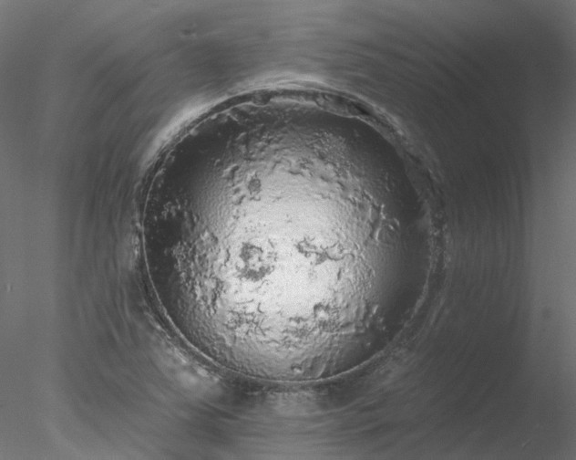 X0000078011363200611031419