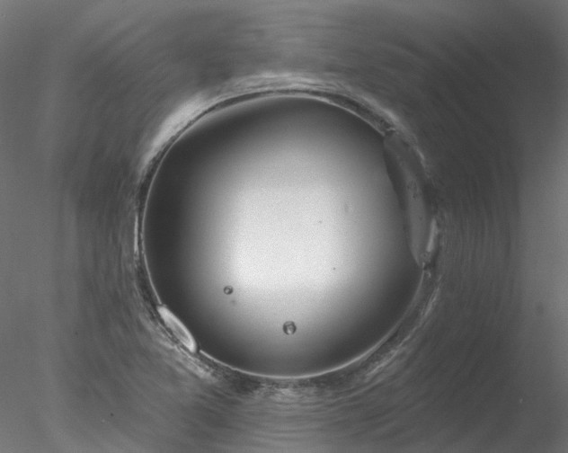 X0000078011365200611031419