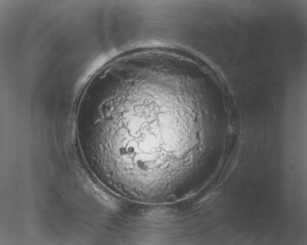 X0000078011367200611031419