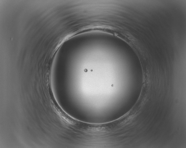 X0000078011369200611031419