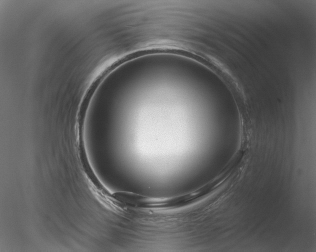 X0000078011372200611031419