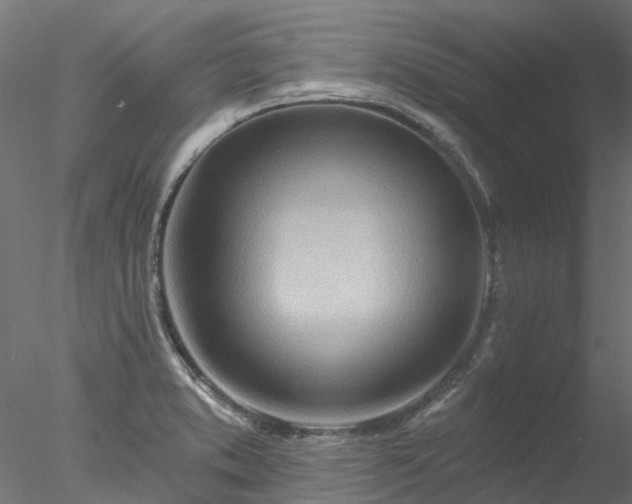 X0000078011373200611031419